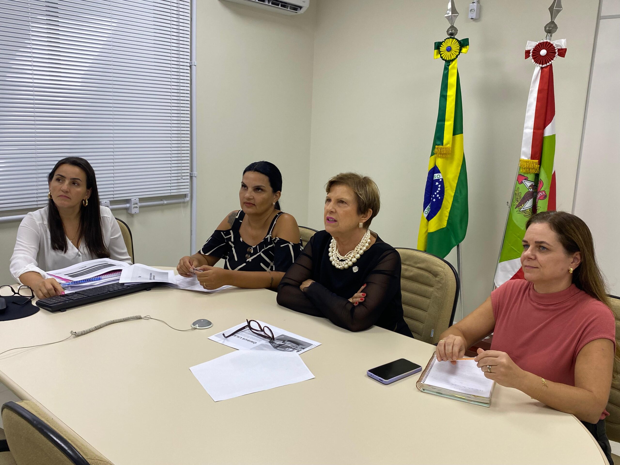 Encontro on-line avalia eventos do ônibus lilás e projeta novas ações