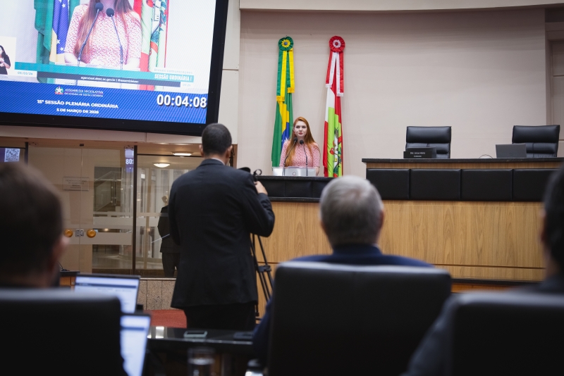 Deputados cobram mais rigor na responsabilização de autores de crimes contra mulheres